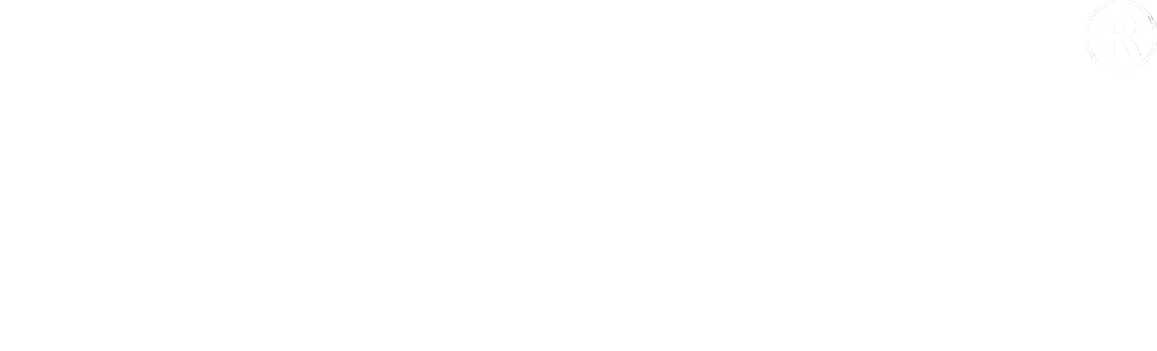 DroneZero, logo ufficiale bianco